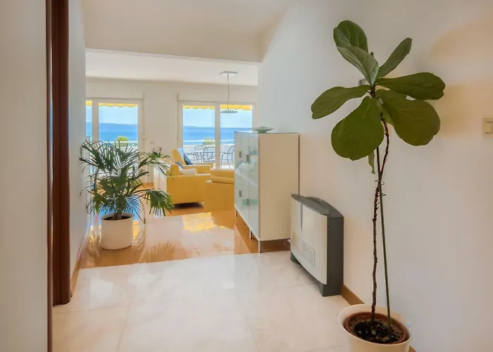 Seaside Gold 1row * Split